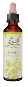 CLEMATIS | טיפות לשתייה על בסיס תמציות פרחי באך | מכיל 20 מ"ל | 