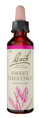 SWEET CHESTNUT | טיפות לשתייה על בסיס תמציות פרחי באך | מכיל 20 מ