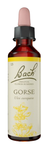 GORSE | טיפות לשתייה על בסיס תמציות פרחי באך | מכיל 20 מ