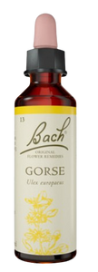 GORSE | טיפות לשתייה על בסיס תמציות פרחי באך | מכיל 20 מ"ל | 