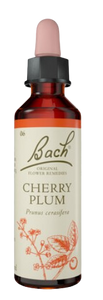 CHERRY PLUM | טיפות לשתייה על בסיס תמציות פרחי באך | מכיל 20 מ"ל | 