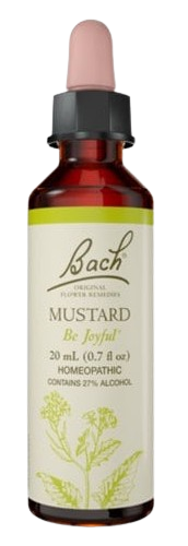 MUSTARD | טיפות לשתייה על בסיס תמציות פרחי באך | מכיל 20 מ