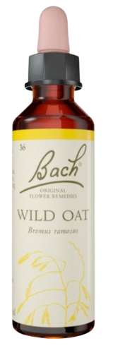 WILD OAT | טיפות לשתייה על בסיס תמציות פרחי באך | מכיל 20 מ