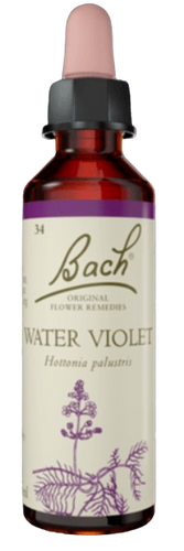 WATER VIOLET | טיפות לשתייה על בסיס תמציות פרחי באך | מכיל 20 מ