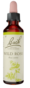 WILD ROSE | טיפות לשתייה על בסיס תמציות פרחי באך | מכיל 20 מ"ל | 