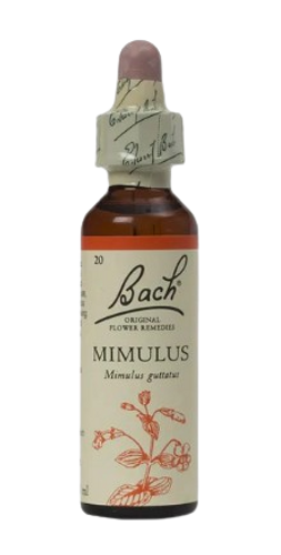 Mimulus | טיפות לשתייה על בסיס תמציות פרחי באך | מכיל 20 מ