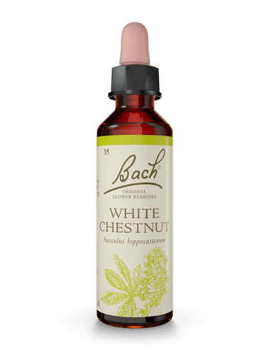 WHITE CHESTNUT | טיפות לשתייה על בסיס תמציות פרחי באך