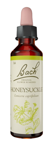 HONEYSUCKLE | טיפות לשתייה על בסיס תמציות פרחי באך | מכיל 20 מ