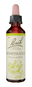 HONEYSUCKLE | טיפות לשתייה על בסיס תמציות פרחי באך | מכיל 20 מ"ל | 