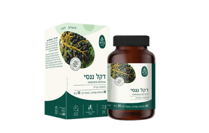 דקל ננסי | כמוסות 60 | Serenoa repens | ברא |