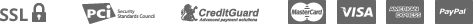 payment_icon