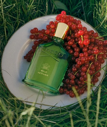 בושם יוניסקס Creed Wild Vetiver EDP 100 ml