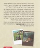 מאיר הכתל