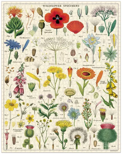 פאזל 1000 חלקים - WILDFLOWERS