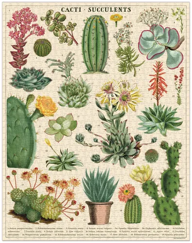 פאזל 1000 חלקים - CACTI & SUCCULENTS