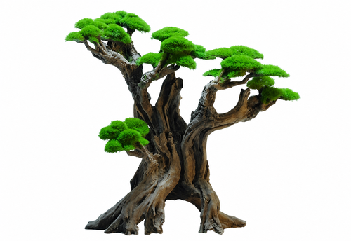 עץ בונסאי דגם Forest Bonsai Tree