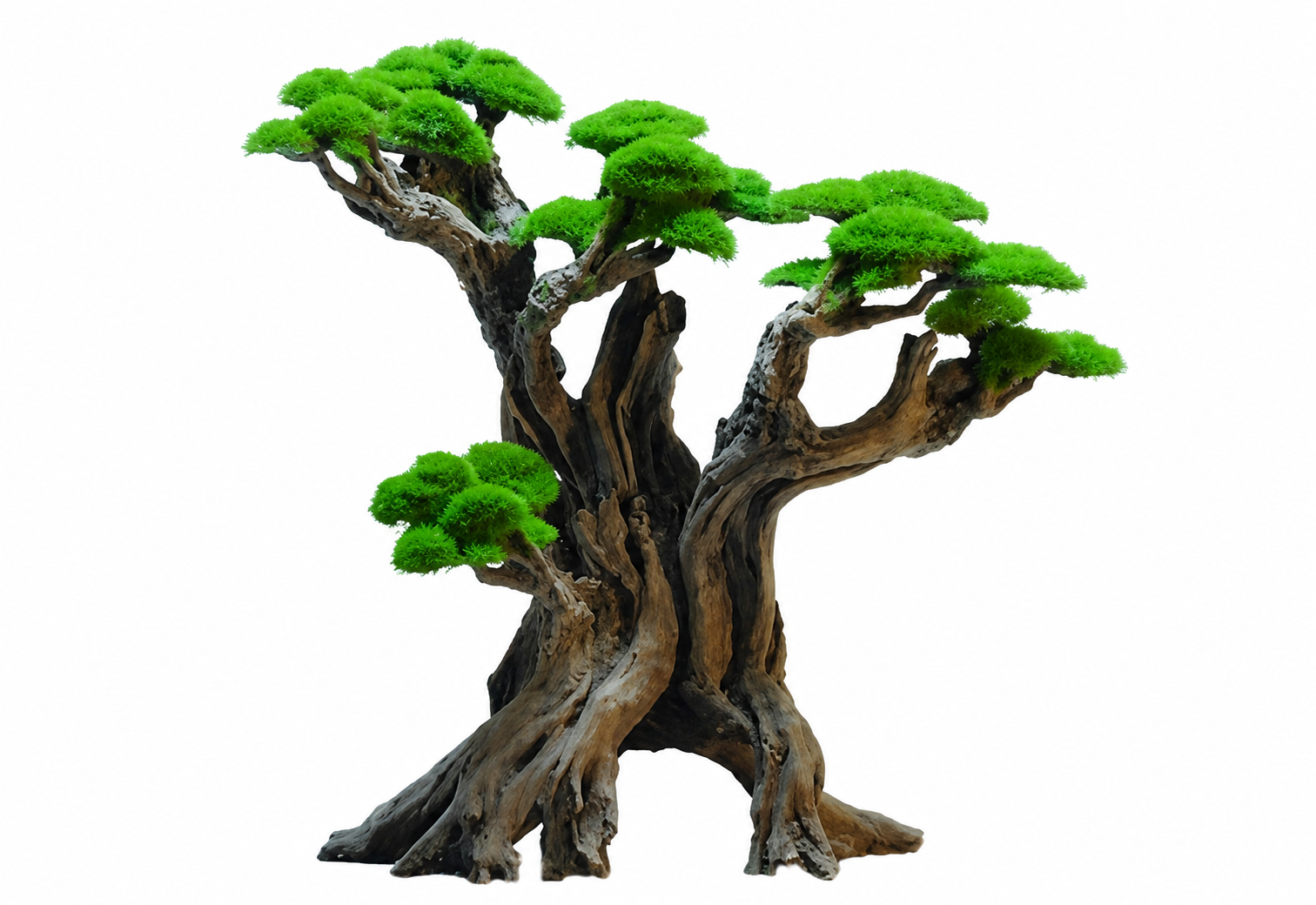 עץ בונסאי דגם Forest Bonsai Tree