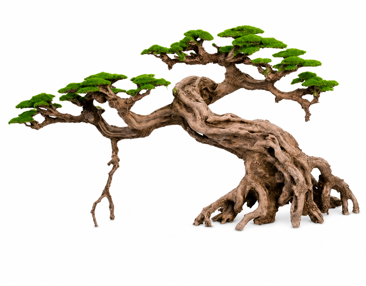 עץ בונסאי דגם 56 piaozhi bonsai Left