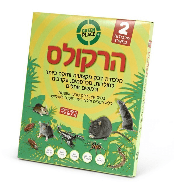 הרקולס מלכודת דבק ללכידת מכרסמים בסיס עץ - 2 מלכודות באריזה