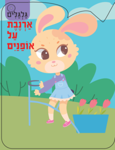 סדרת גלגלים - ארנבת על אופניים