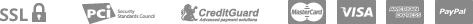 payment_icon