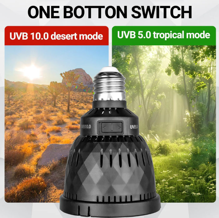 נורת UV מתחלפת מדברית / טרופית 5 וואט לזוחלים