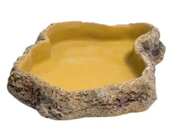 כלי אוכל M לזוחלים