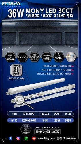 ג
