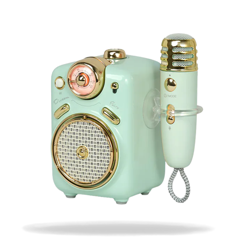 Divoom Fairy-2 Bluetooth Pink Speaker with Micro | רמקול בלוטות’ Divoom Fairy-2
