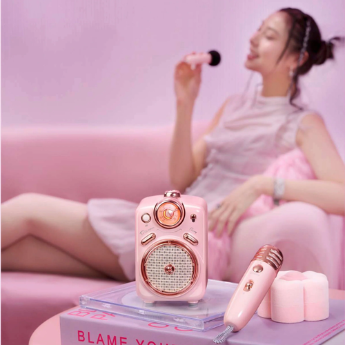Divoom Fairy-2 Bluetooth Pink Speaker with Micro | רמקול בלוטות’ Divoom Fairy-2