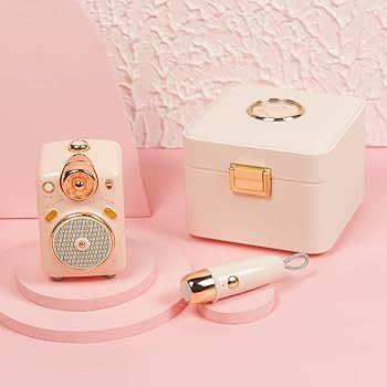 Divoom Fairy-2 Bluetooth Pink Speaker with Micro | רמקול בלוטות’ Divoom Fairy-2
