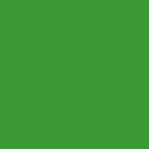 Provision - Creative Light רקע בד ירוק 1.5X3 מטר