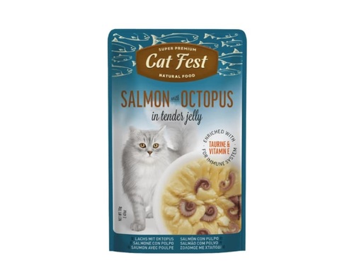 CAT FEST פאוץ' לחתולים בטעם סלמון ותמנון 70 גרם