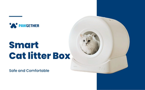 Smart Cat Litter Box