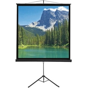מסך הקרנה נייד על חצובה בגודל 113" Sinoscreen סינוסקרין T203X203S