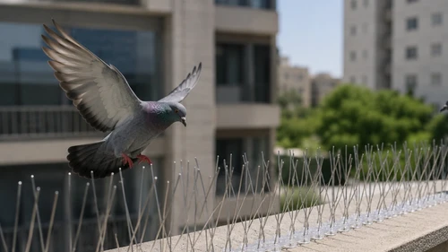 דוקרן נגד יונים מקורי מנירוסטה איכותית ומחוזקת ועמידה ל UV