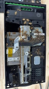 ניקוי יסודי ומקצועי לקונסולת Xbox Series X