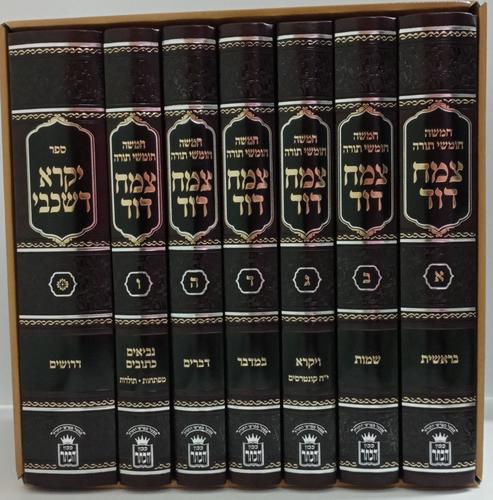 צמח דוד ז