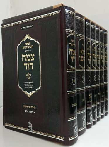 צמח דוד ז