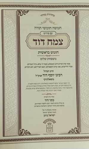 צמח דוד ז