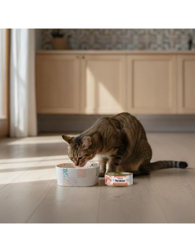 שימורים לחתולים עוף עם סלמון ותפוח