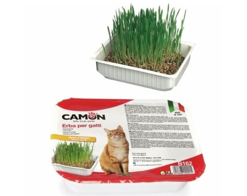 CAMON קאמון דשא לחתולים B162