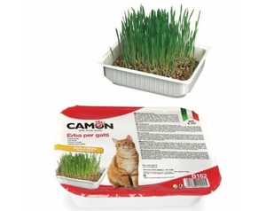 CAMON קאמון דשא לחתולים B162