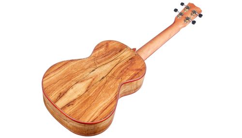 זוית נוספת Cordoba 24T Tenor Ukulele