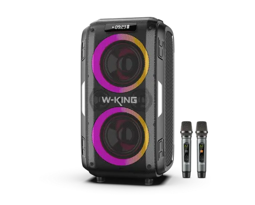 W-KING בידורית + 2 מיקרופונים W-KING T9 PRO 120W