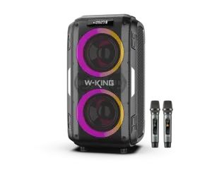 W-KING בידורית + 2 מיקרופונים W-KING T9 PRO 120W