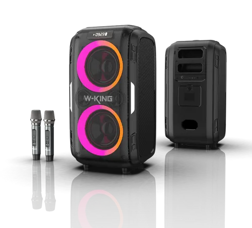 W-KING בידורית + 2 מיקרופונים W-KING T9 PRO 120W