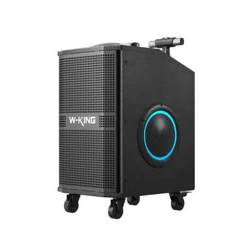בידורית + 2 מיקרופונים דגם K21SE 120W מבית W-KING