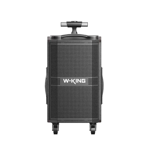 בידורית + 2 מיקרופונים דגם K21SE 120W מבית W-KING