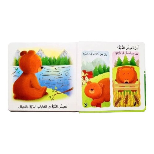 التعلم بحاسة اللمس - ما الذي تحبه الدبة